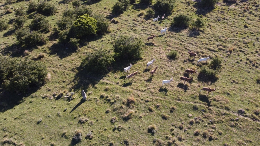 Commercial Property for Sale in Paul Roux Free State